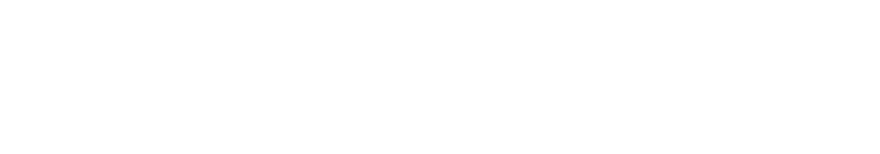 2017-Raymarine-Logo-White